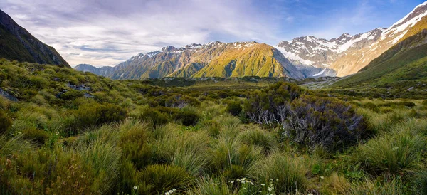 Paisaje del parque nacional mt.cook, Nueva Zelanda —  Fotos de Stock