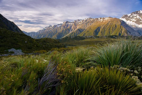 Ландшафт национального парка mt.cook, Новая Зеландия — стоковое фото