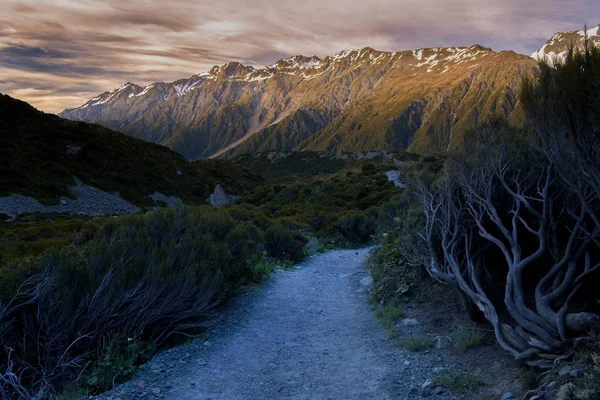 Krajobraz mt.cook national Park, Nowa Zelandia — Zdjęcie stockowe