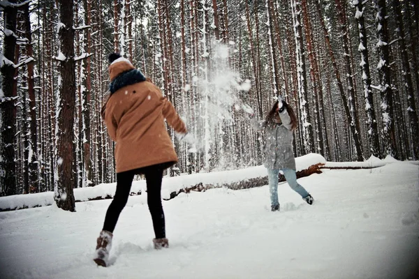 A téli erdő bolondozás lányok Jogdíjmentes Stock Képek
