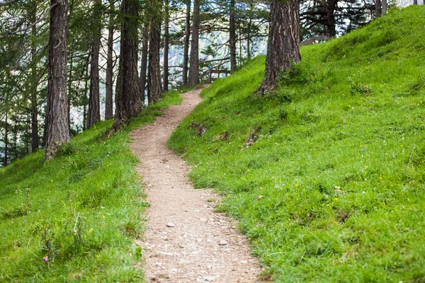 安静的旅游路线 — 图库照片