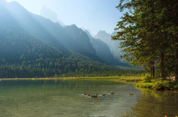 Beautiful Dobbiaco lake — Stock Photo, Image