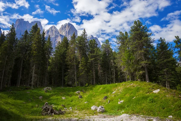 Adolf Munkel Trail in Italy — Stock Photo, Image