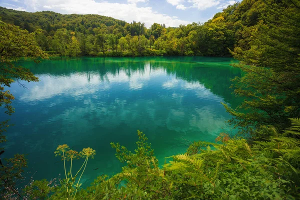 Plitvice lake national park — Stock Photo, Image