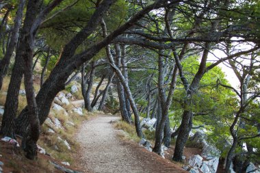 Hırvatistan güzel manzara