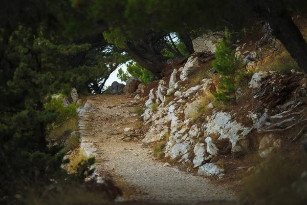 Beautiful landscape in Croatia — Stock Photo, Image