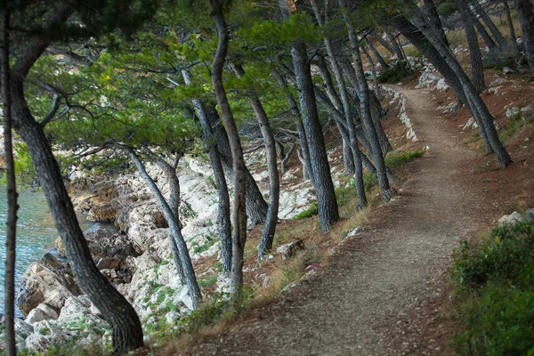 Hermoso paisaje en Croacia — Foto de Stock