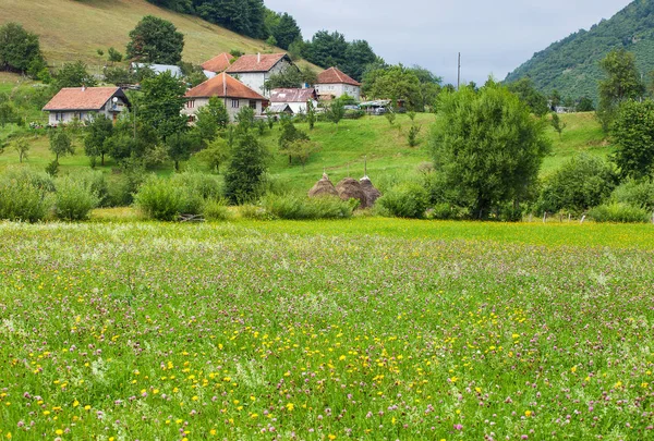 Krajina vesnice v Černé hoře — Stock fotografie