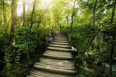 Park ahşap yürüme yolu