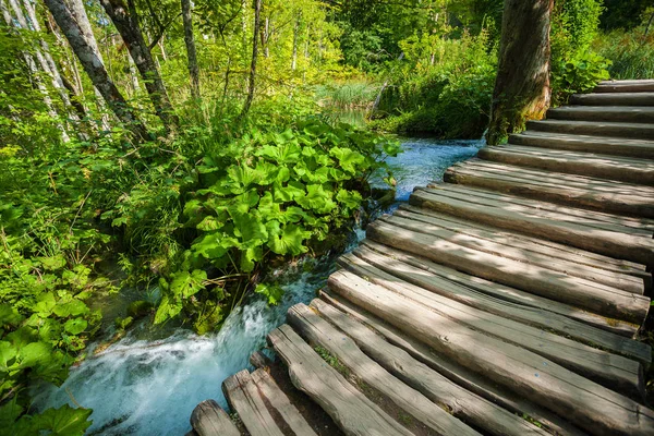 Houten wandelpad in een park — Stockfoto