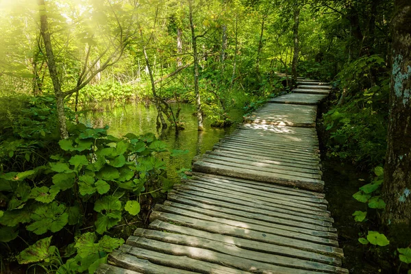 Passerella in legno in un parco — Foto Stock