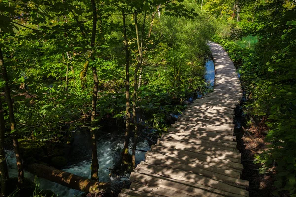 Houten wandelpad in een park — Stockfoto