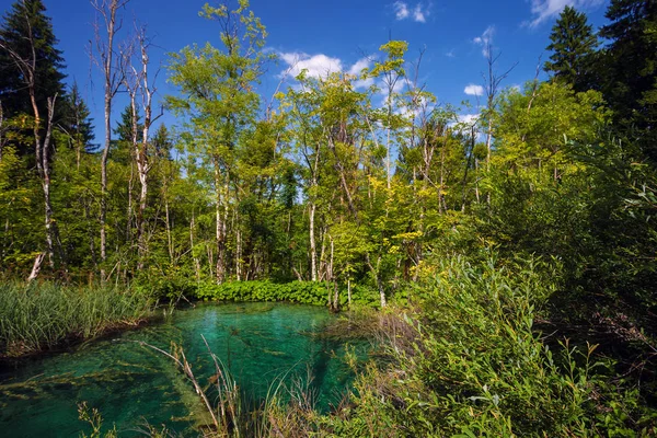 Plitvicesjön nationalpark — Stockfoto