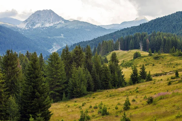 Heitere Berge auf dem Balkan — Stockfoto