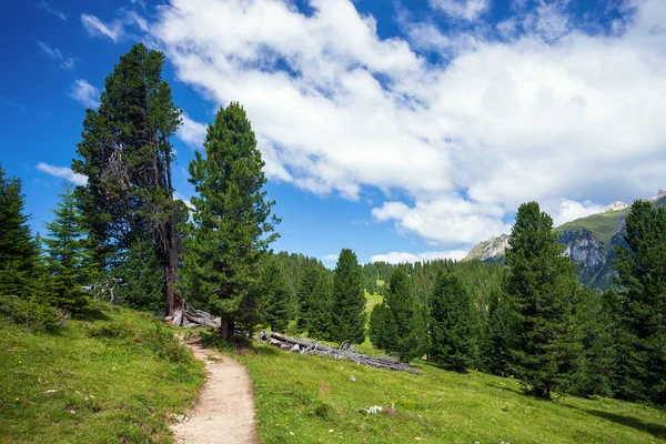 Caminho pedestre em Dolomitas — Fotografia de Stock