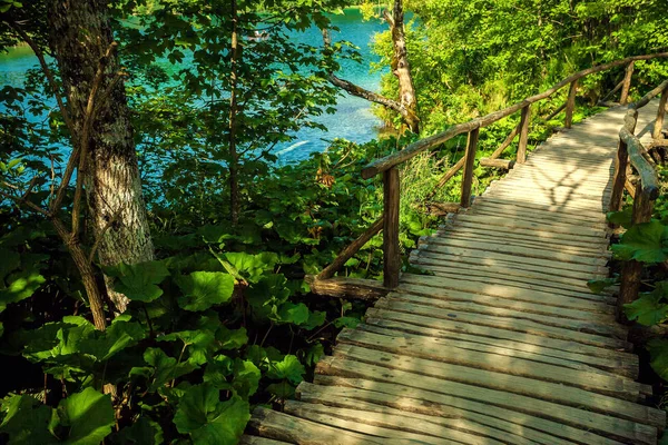 Houten wandelpad in een park — Stockfoto