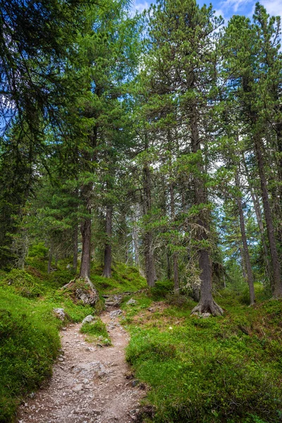 在意大利阿尔卑斯山的旅游路线 — 图库照片