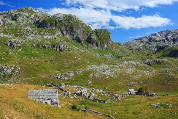 Campo em Montenegro — Fotografia de Stock