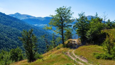 Dağlarda kırsal yol