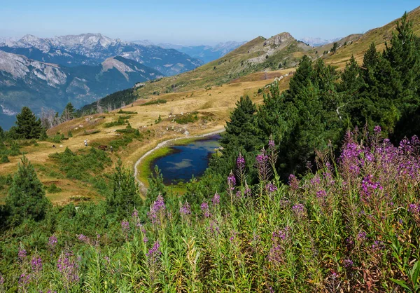 Удивительные горы Черногории — стоковое фото