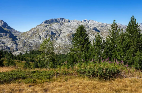 Karadağ şaşırtıcı dağlar — Stok fotoğraf