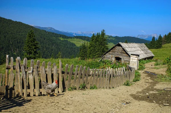 Eski aile çiftliği — Stok fotoğraf