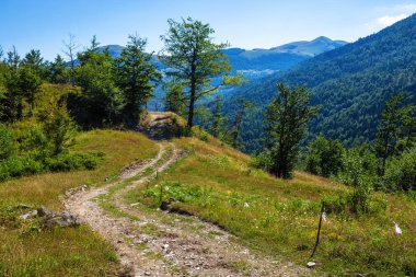 Dağlarda kırsal yol