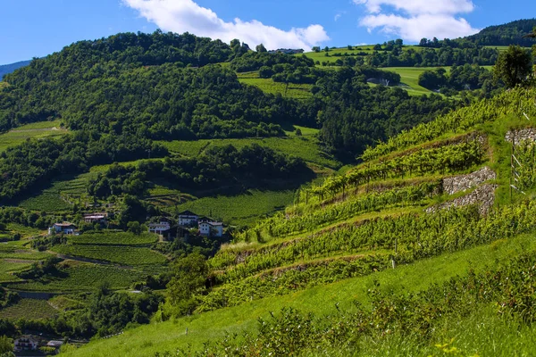 Пейзаж в сельской местности Италии — стоковое фото