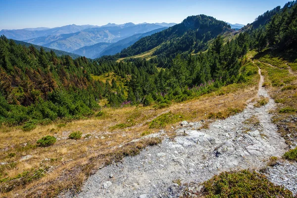 Serene shepherd trail — Stock Photo, Image