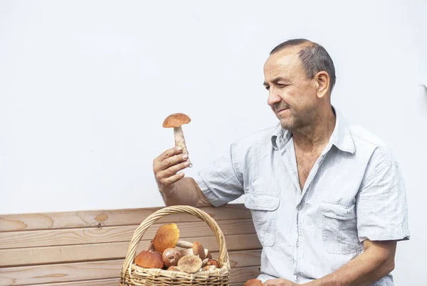 Oude Paddenstoelenplukker Met Mand Vol Paddenstoelen Stockfoto