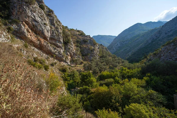 Sereno Paisaje Montaña Montenegro — Foto de Stock