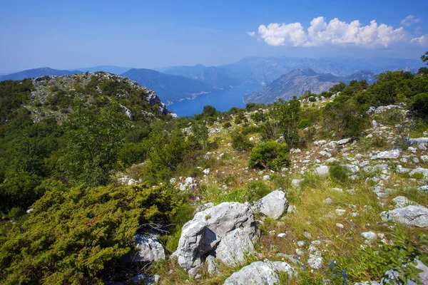 Vista Incrível Baía Boka Kotorska Fiorde Mais Sul Europa — Fotografia de Stock