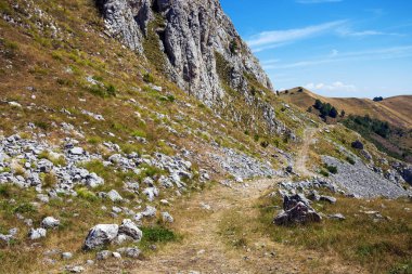 Sinjajevina dağlarında dar patika
