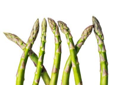 taze yeşil kuşkonmaz