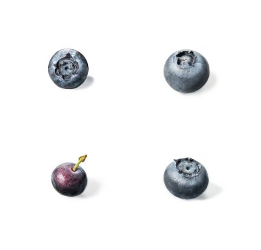 Kolaj izole yaban mersini