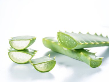 taze aloe vera yaprağı