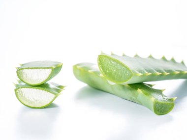 taze aloe vera yaprağı