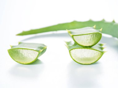 taze aloe vera yaprağı