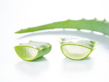 taze aloe vera yaprağı