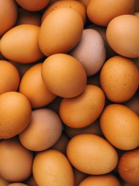 tavuk yumurtası arka plan üzerinde