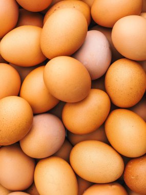 tavuk yumurtası arka plan üzerinde