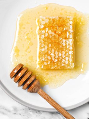 Bal ve arı hücreleri