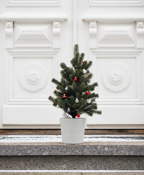 Small christmas fir tree on steps — Stock Photo, Image