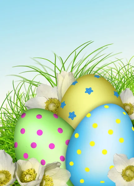 Easter card. Eggs, flowers, grass, 3d — Stock Photo, Image
