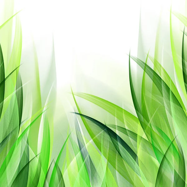 Delicate abstract grass leaves background. Suitable for nature concept, vacation, and summer holiday. — Stock Photo, Image