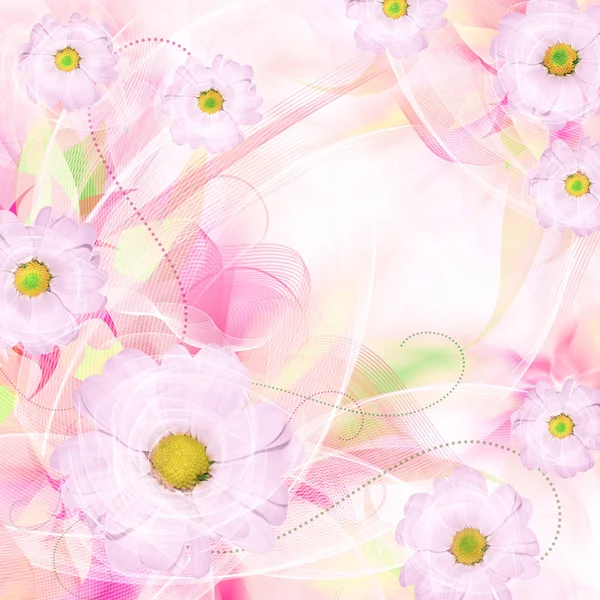 Floral romantic tender background — Stock Photo, Image