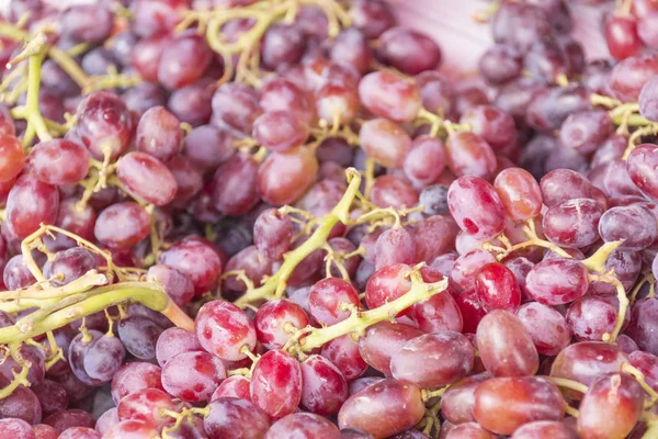 Frutos de uva roja — Foto de Stock