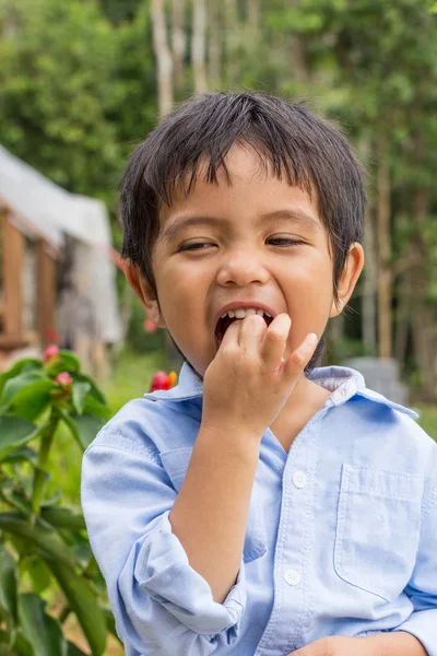 Asiático tailandés pequeño niño — Foto de Stock