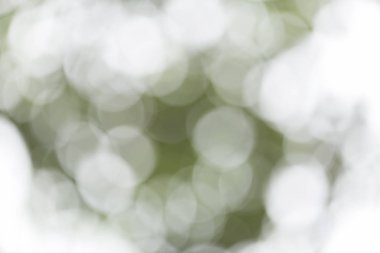 doğal bokeh arka plan