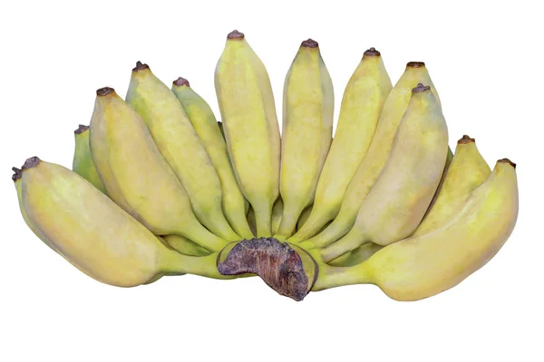 Upraw bananów na białym tle — Zdjęcie stockowe